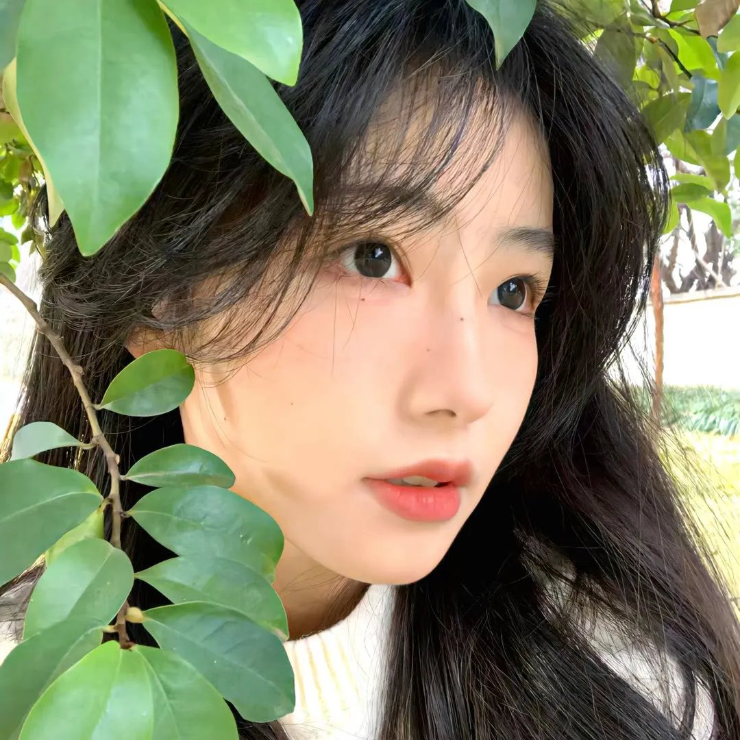 苔藓