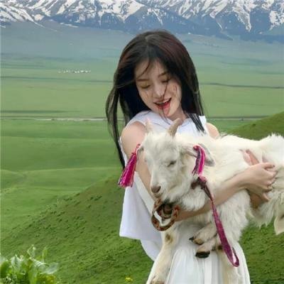 爱你们的希尔德